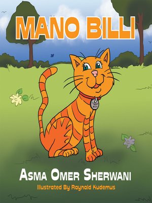 cover image of Mano Billi